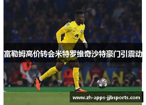 富勒姆高价转会米特罗维奇沙特豪门引震动 富勒姆高价转会米特罗维奇沙特豪门引震动