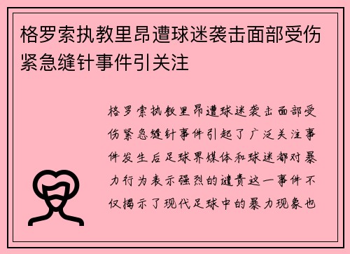 格罗索执教里昂遭球迷袭击面部受伤紧急缝针事件引关注